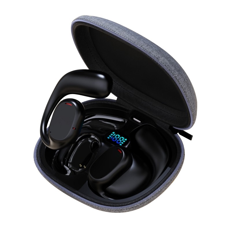 Hearing Aids With Led Display