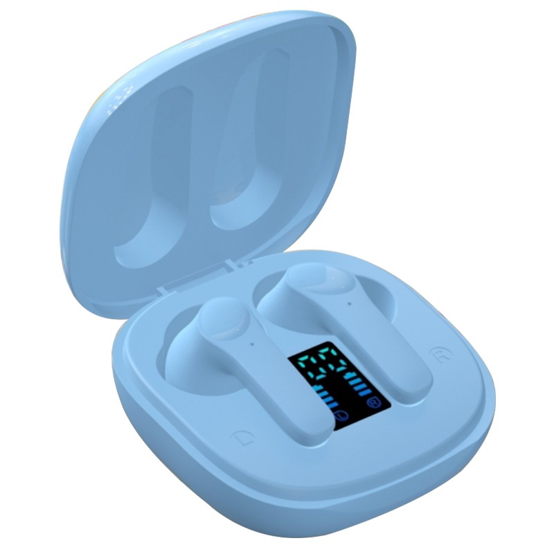 Hearing Aid With Digital Display
